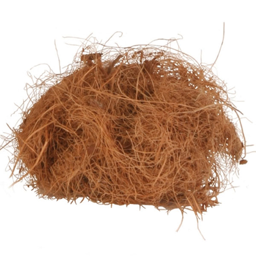 La fibra in cocco viene ricavata dalla noce